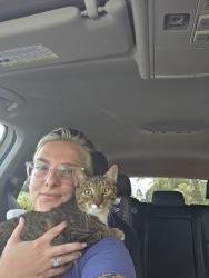 Found/Stray Male Cat last seen Near Desert Storm Dr., Judice, LA 70529