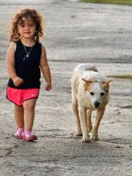 Lost Male Dog last seen PR-3401 Gilmer TX 75645 United States, Upshur County, TX 75645