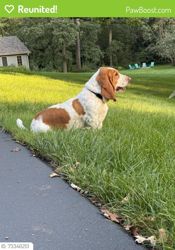 Reunited Male Dog last seen Highland & Coombs, Elgin, IL 60124