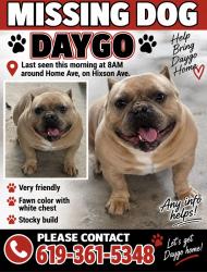 Reunited Male Dog last seen Hixson Ave, San Diego, CA 92105