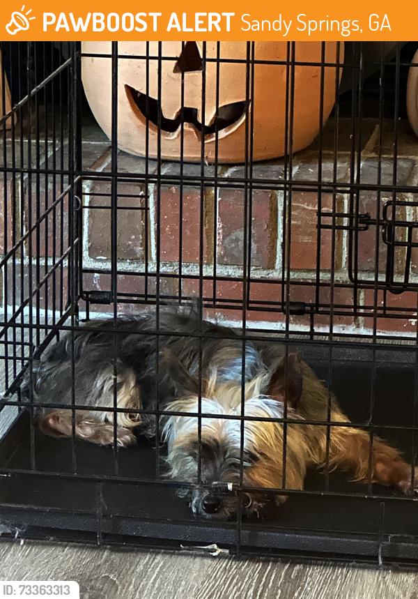 Found/Stray Male Dog last seen Roswell Road, Sandy Springs, GA 30350