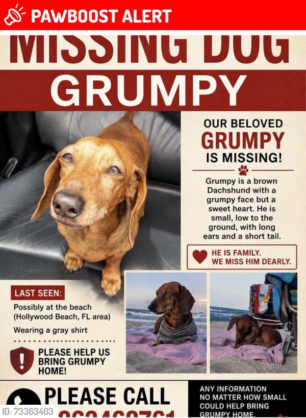 Lost Male Dog last seen Marlene Ct and worthington Rd, West Palm Beach, FL 33409