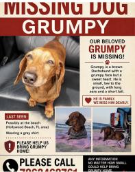 Lost Male Dog last seen Marlene Ct and worthington Rd, West Palm Beach, FL 33409