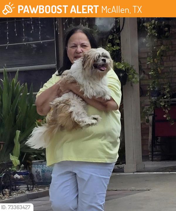 Found/Stray Male Dog last seen Hummingbird Ave and N 29th Ln, McAllen, TX 78504