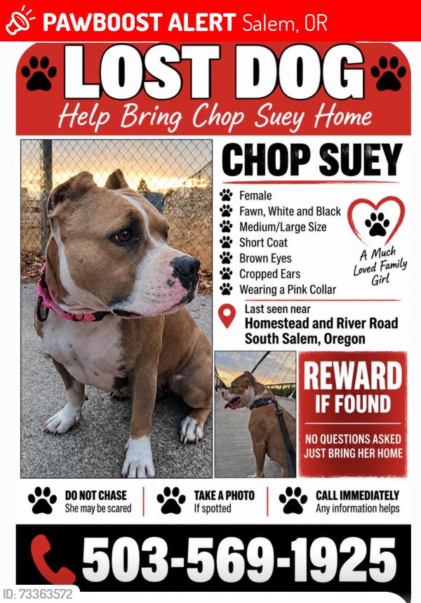 Lost Female Dog last seen River Road S & hmstd, Salem, OR 97302