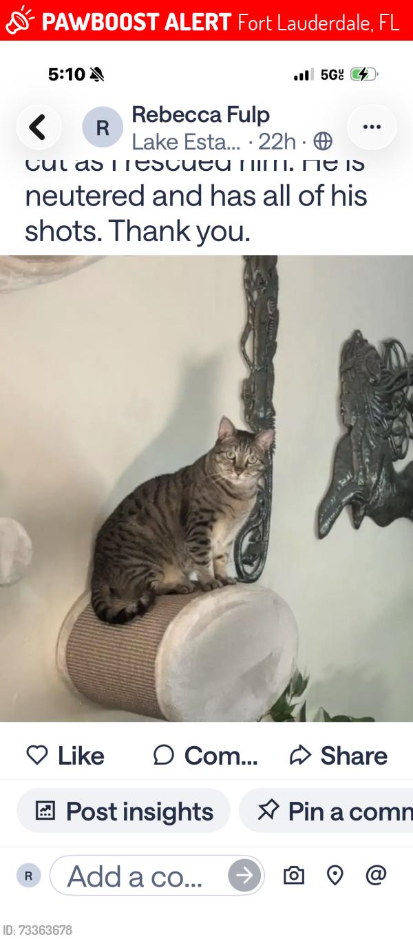 Lost Male Cat last seen cypress and federal, Fort Lauderdale, FL 33308