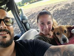 Reunited Male Dog last seen Bear Lakes Country Club, West Palm Beach, FL 33409
