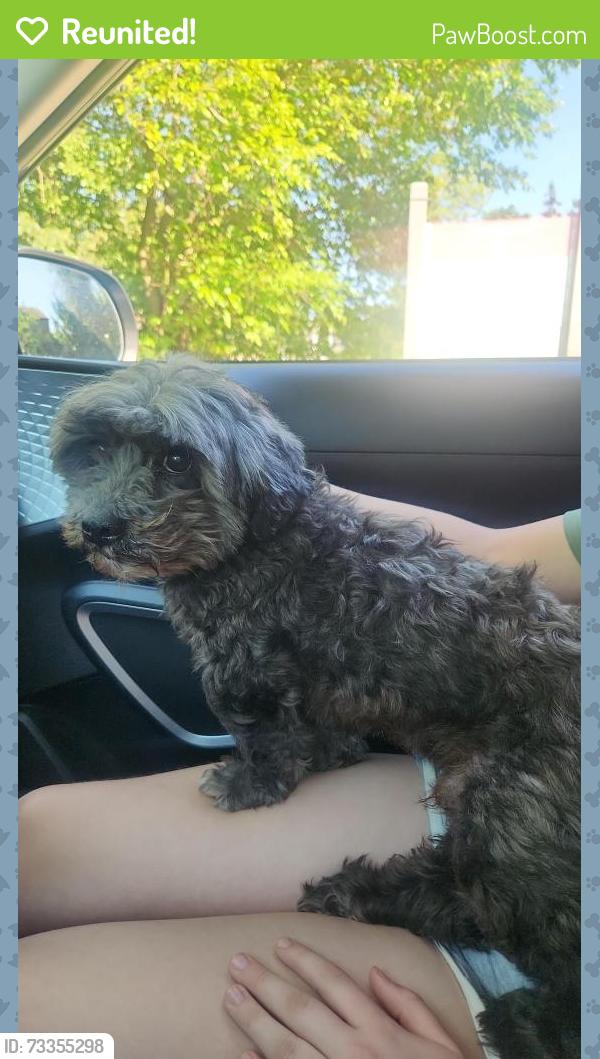Reunited Male Dog last seen Desplaines and 29th St Riverside IL, Riverside, IL 60546