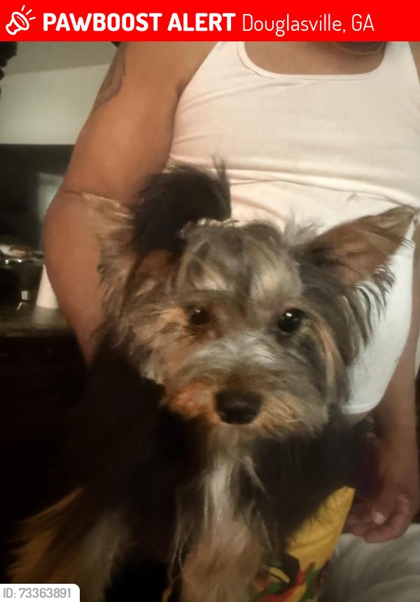 Lost Female Dog last seen Near Chicago Ave, Douglasville,Ga 30134, Douglasville, GA 30134