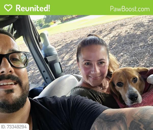 Reunited Male Dog last seen Bear Lakes Country Club, West Palm Beach, FL 33409