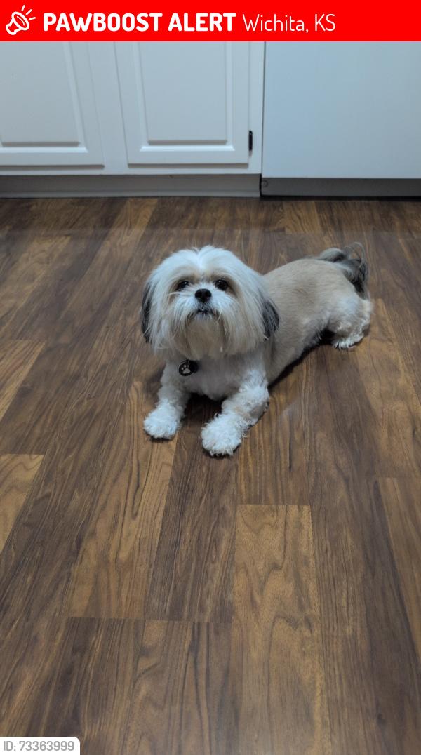 Lost Female Dog last seen 29th St N between Woodlawn and Rock Rd, Wichita, KS 67226