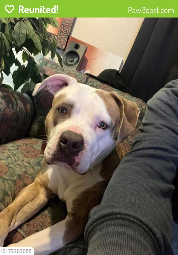 Reunited Female Dog last seen University, 63rd, Windsor Heights, IA 50324