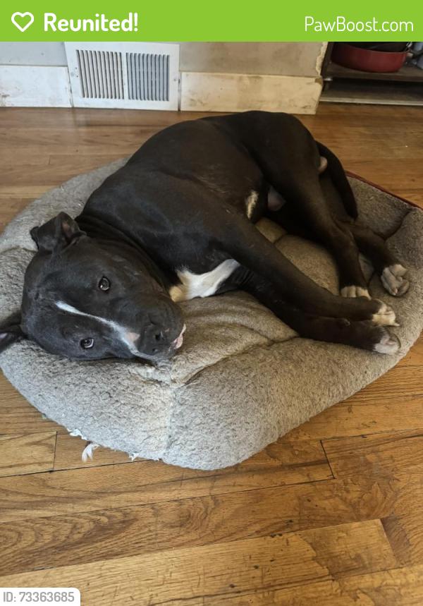Reunited Male Dog last seen University, 63rd, Windsor Heights, IA 50324