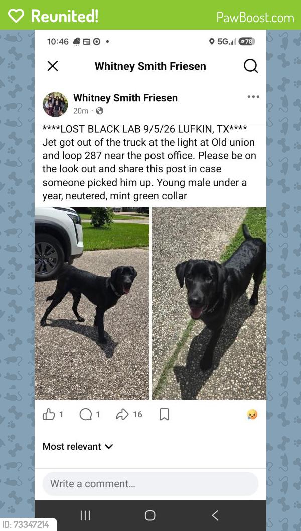 Reunited Male Dog last seen Post office, Lufkin, TX 75904