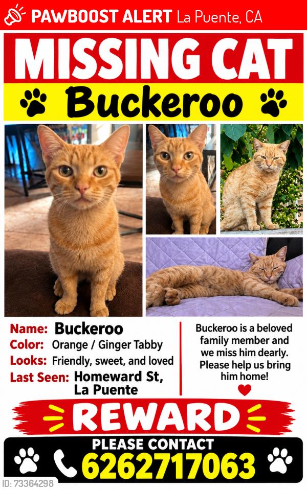 Lost Male Cat last seen Sparks elementary, La Puente, CA 91744