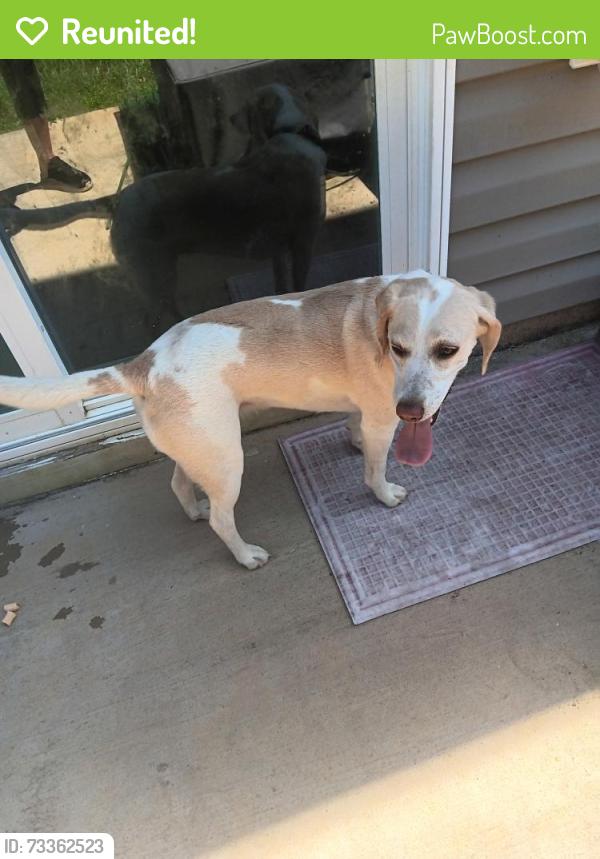 Reunited Unknown Dog last seen Sparrow Ln and Arnold Rd, Davidson County, NC 27295