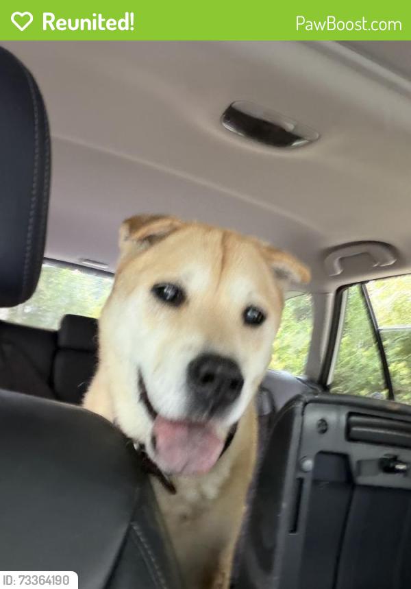 Reunited Unknown Dog last seen Country Woods, Greensboro, NC 27410