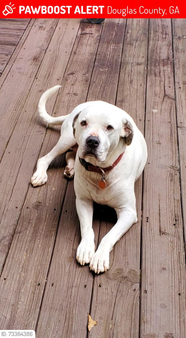 Lost Male Dog last seen Orchard Rd and Hilltop Dr, Douglas County, GA 30135