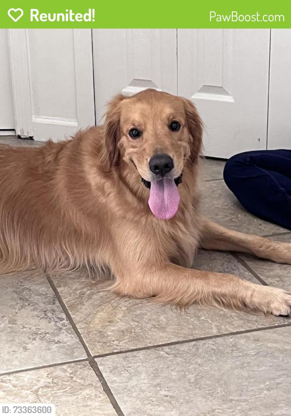 Reunited Unknown Dog last seen Exotica Ln, Wellington, FL 33414, USA, Wellington, FL 33414
