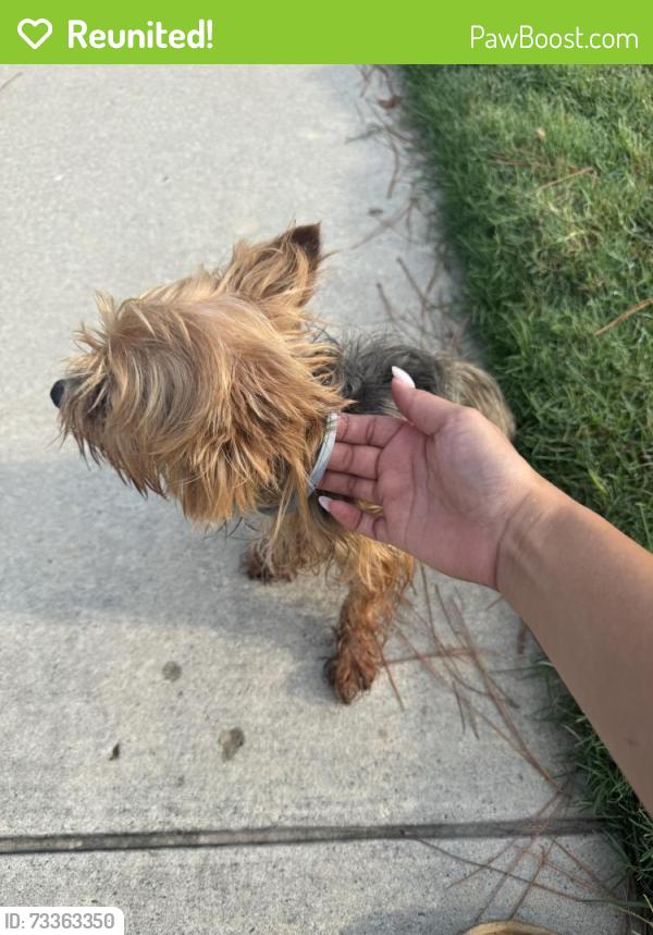 Reunited Male Dog last seen Sundew bend dr, Atascocita, TX 77346