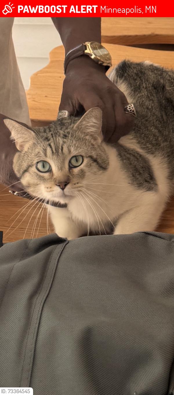 Lost Male Cat last seen 72nd Humboldt ave, Minneapolis, MN 55430
