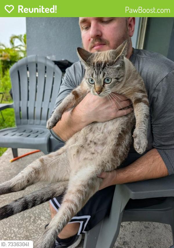 Reunited Unknown Cat last seen Bexley Neighborhood - sr 54/589, Land O' Lakes, FL 34638
