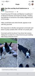 Reunited Female Dog last seen Beamer and el dorado, Houston, TX 77546
