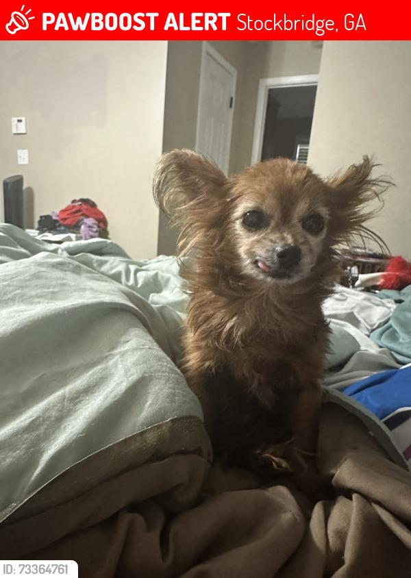 Lost Female Dog last seen Jodeco or mcclluen, Stockbridge, GA 30281