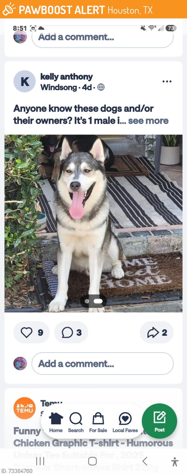 Found/Stray Male Dog last seen Oak Hampton and Barker Cypress, Houston, TX 77084