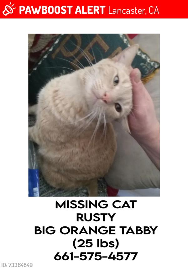 Lost Male Cat last seen 15th W and H, Lancaster, CA 93534
