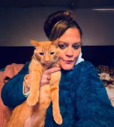 Lost Male Cat last seen Walker rd, Utica, NY 13502