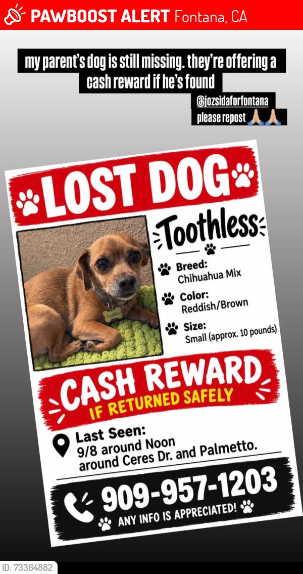Lost Male Dog last seen Ceres Dr and palmetto, Fontana, CA 92335