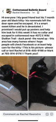Lost Male Cat last seen Duck pond, Cottonwood, AZ 86326