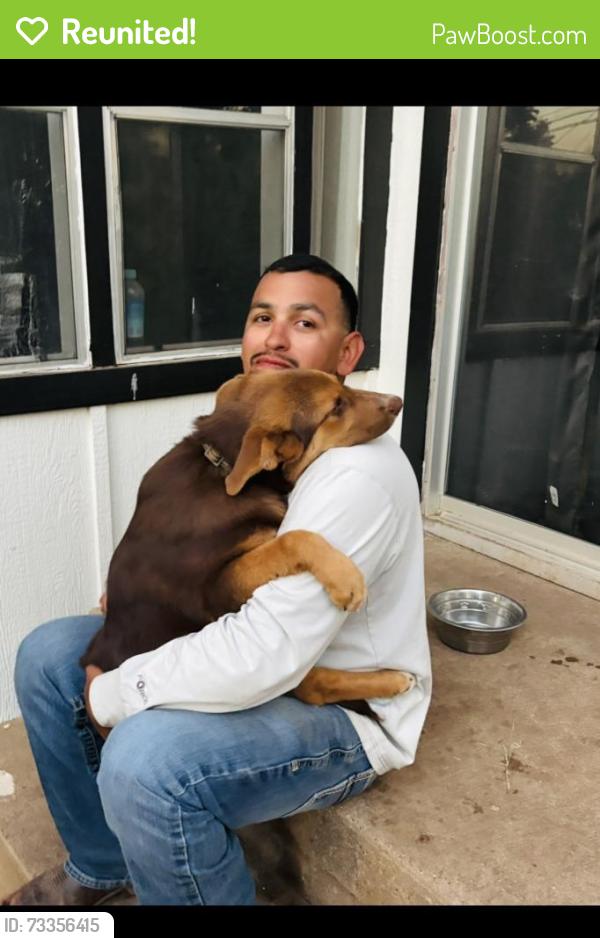 Reunited Male Dog last seen Near S Oxford Dr, San Angelo, TX 76904