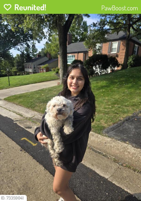 Reunited Female Dog last seen Intersection of Scrubgrass and Segar, Pittsburgh, PA 15243