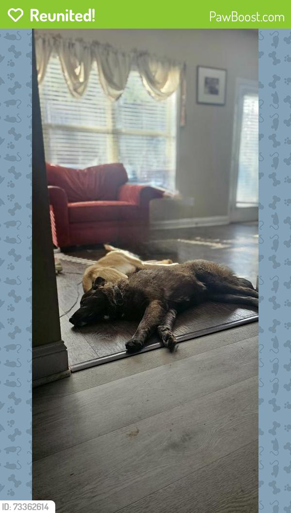 Reunited Male Dog last seen Lexington Park, Fairburn, GA 30213