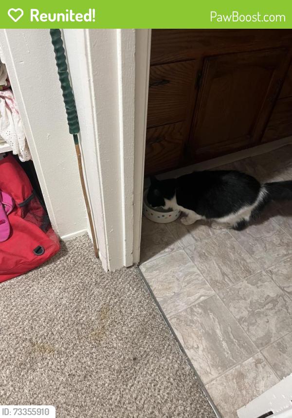 Reunited Male Cat last seen L st, Chula Vista, CA 91911