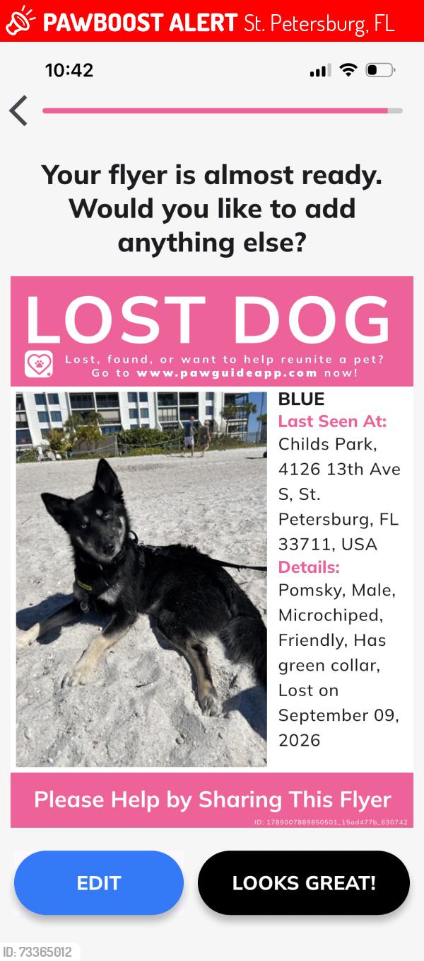 Lost Male Dog last seen 34th S, St. Petersburg, FL 33711