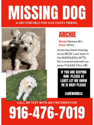 Lost Male Dog last seen Marquesa apmts promenade near McKinley, Corona, CA 92879