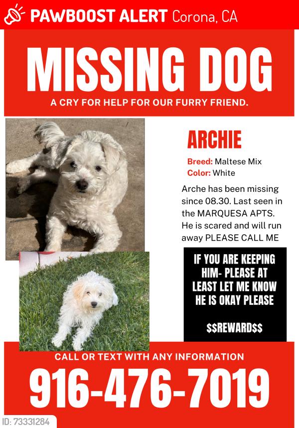 Lost Male Dog last seen Marquesa apmts promenade near McKinley, Corona, CA 92879