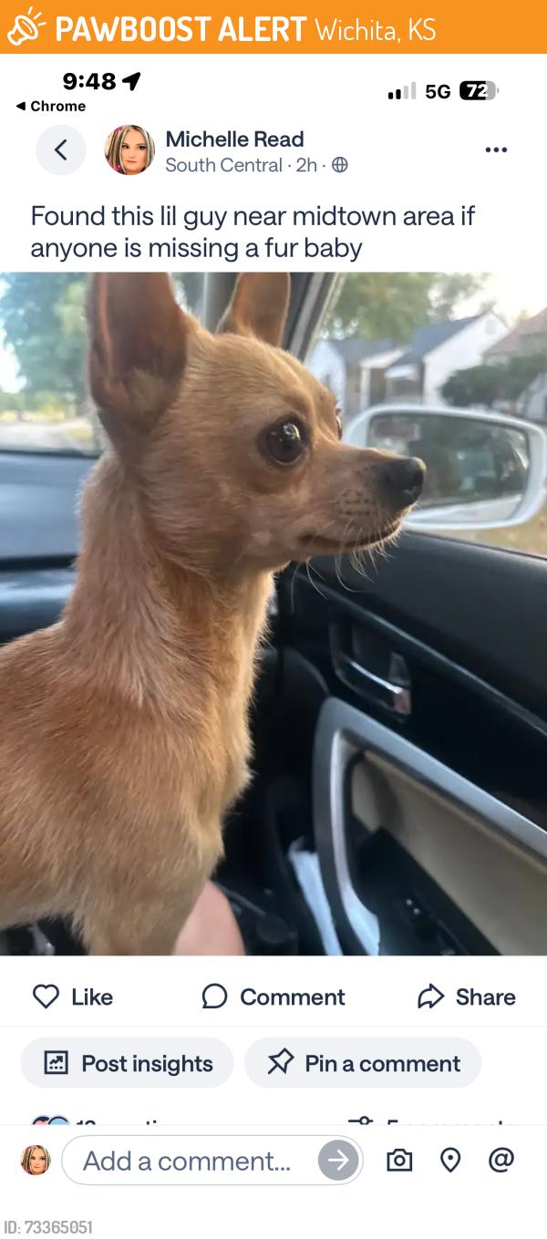 Found/Stray Male Dog last seen Harry and water street, Wichita, KS 67213