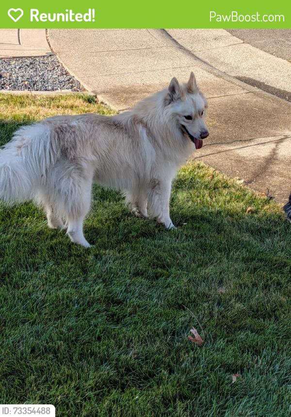 Reunited Male Dog last seen Oak Twig way and Scenic Oak Ct, Carmichael, CA 95608