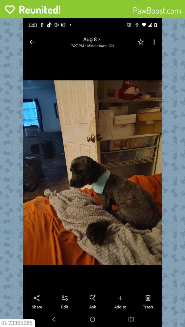 Reunited Male Dog last seen Near Morgan St, Middletown, OH 45044, USA, Middletown, OH 45044