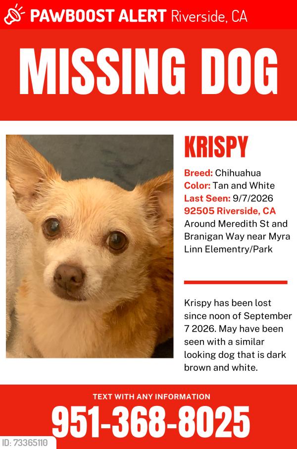 Lost Unknown Dog last seen Near Myra Linn Elementary or Park, Riverside, CA 92505