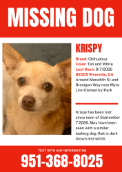 Lost Unknown Dog last seen Near Myra Linn Elementary or Park, Riverside, CA 92505