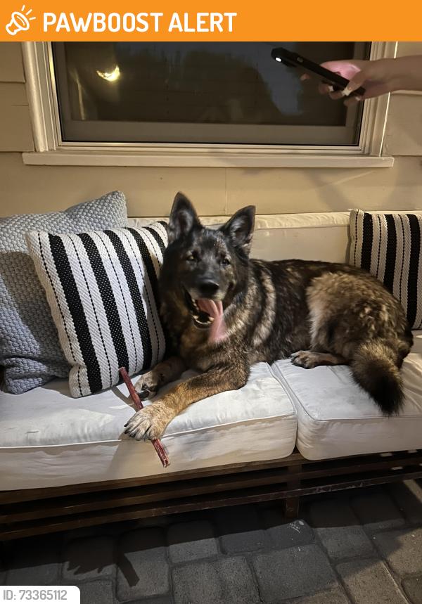 Found/Stray Unknown Dog last seen Rockinghorse rd, Rancho Palos Verdes, CA 90275