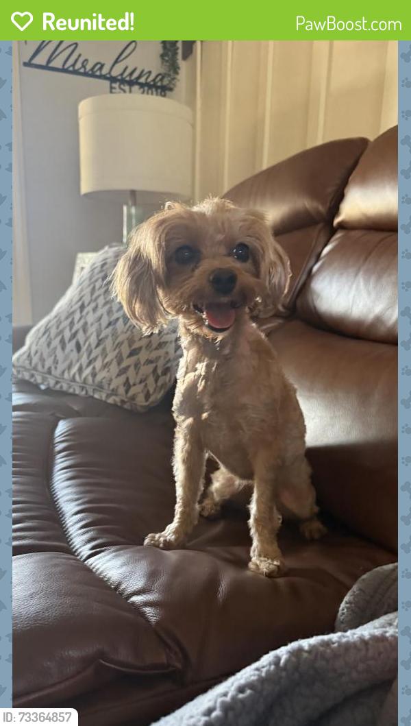 Reunited Female Dog last seen Walnut Grove, Memphis, TN 38018
