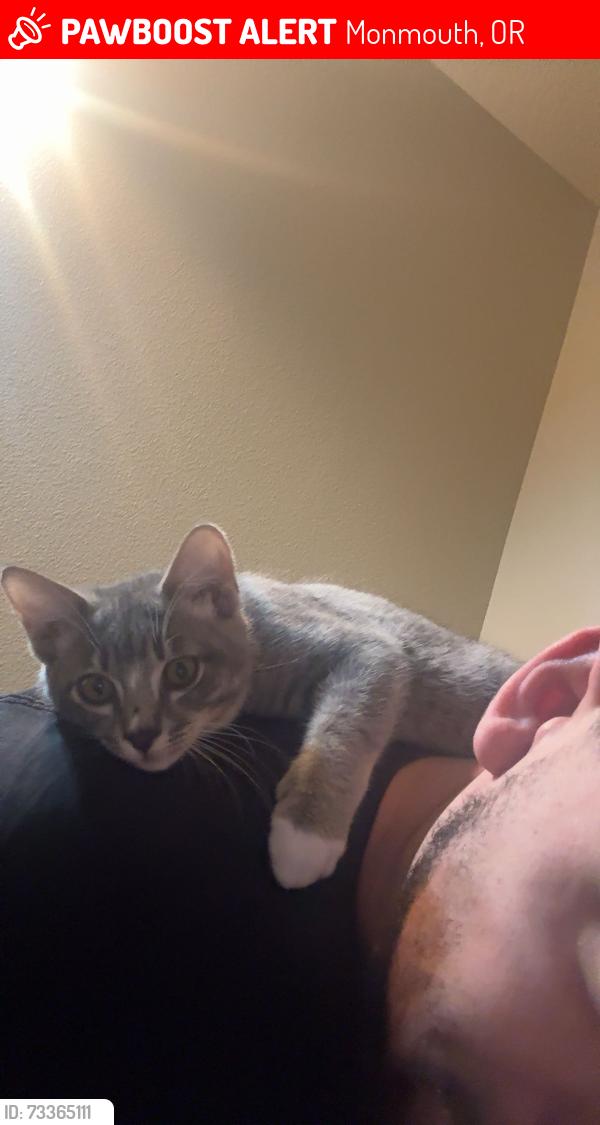 Lost Male Cat last seen Pacific Ave & Main St, Monmouth, OR 97361