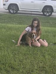 Reunited Male Dog last seen Eldron Blvd and Toulon Road Madden Park area, Palm Bay, FL 32909