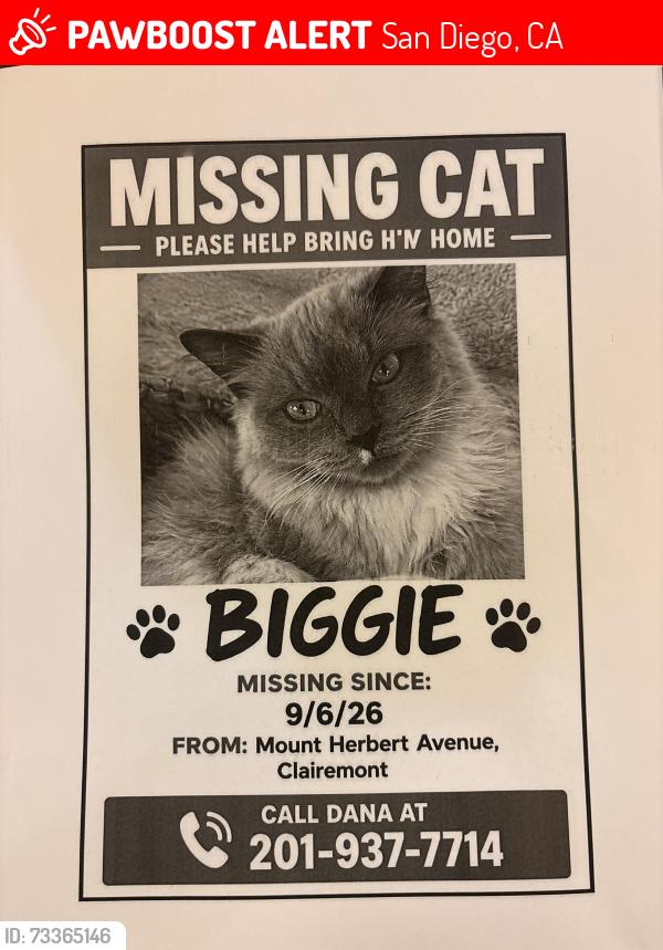 Lost Male Cat last seen Mount Herbert Ave., San Diego, CA 92117